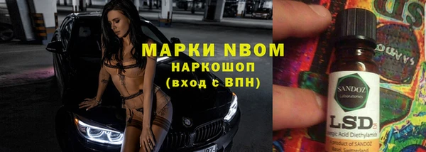 крисы Осинники