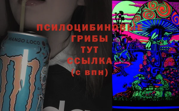 крисы Осинники