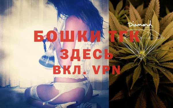 крисы Осинники