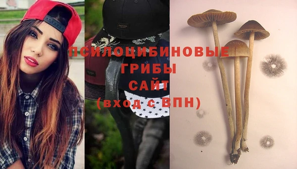 крисы Осинники