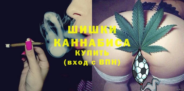дживик Горнозаводск